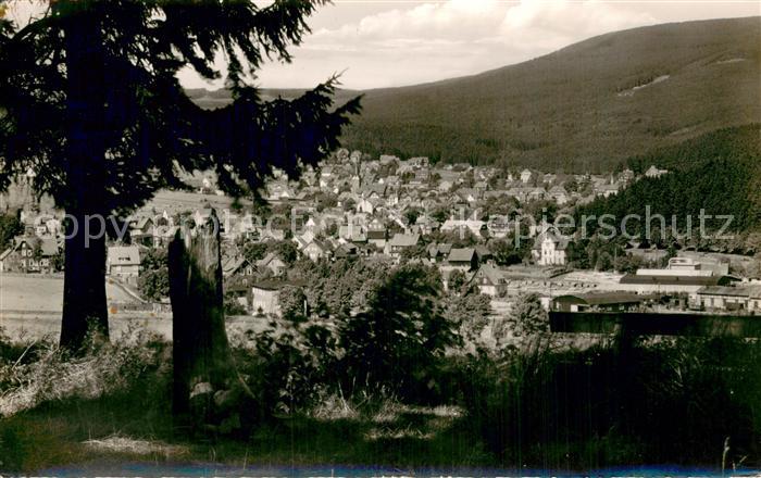 Braunlage Harz Adamsblick