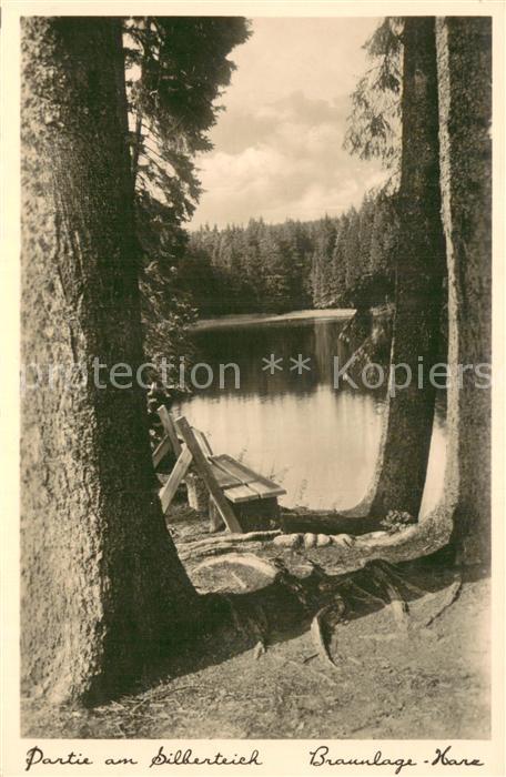 Braunlage Harz Partie am Silberteich