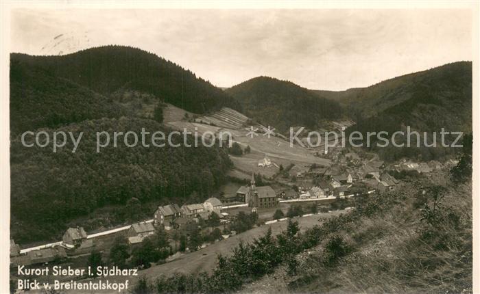 Sieber Herzberg am Harz Osterode Niedersachsen Blick vom Breitentalskopf