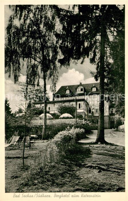 Bad Sachsa Harz Berghotel zum Katzenstein