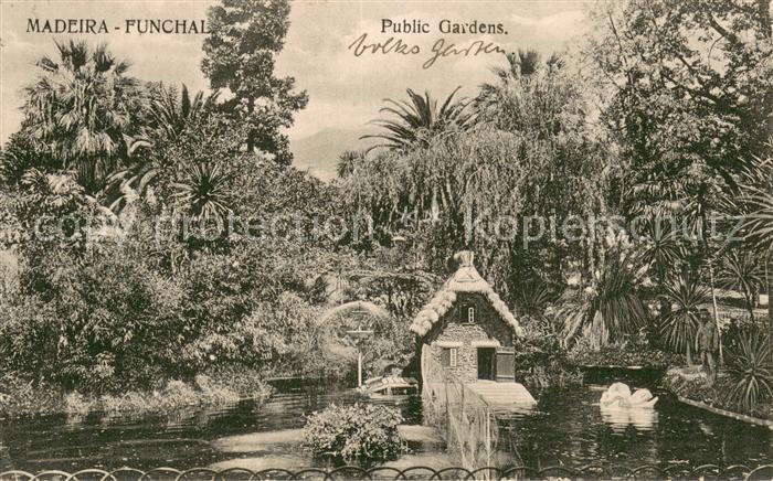 Funchal Madeira PT Public Gardens