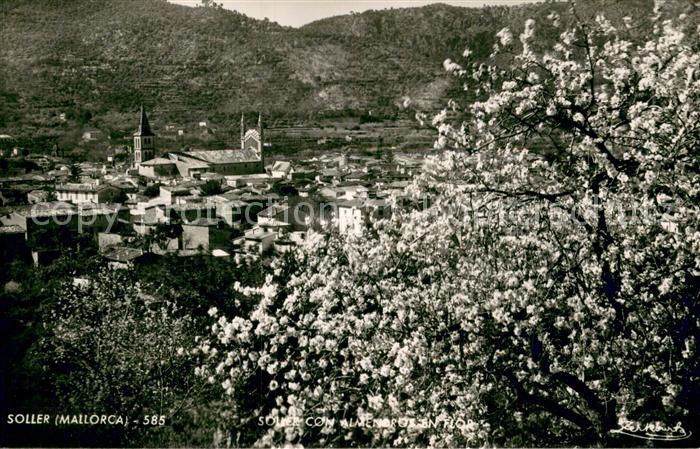 Soller Mallorca Panorama