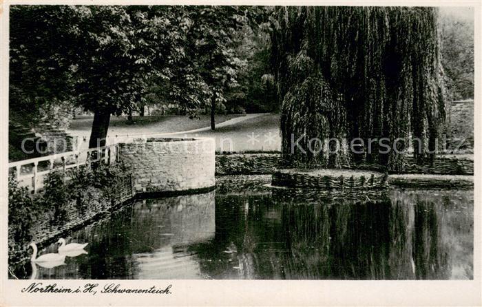 Northeim Schwanenteich