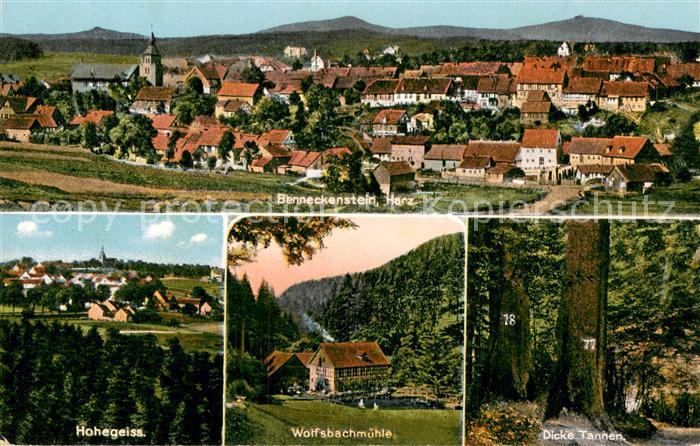 Benneckenstein Harz Panorama Hohegeiss Wolfsbachmuehle Dicke Tannen