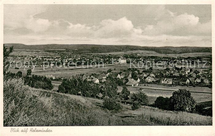 Holzminden Weser Panorama