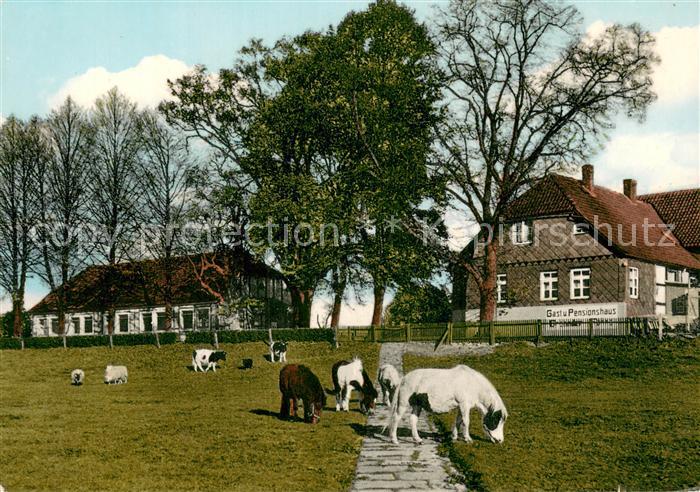 Grohnde Gast und Pensionshaus Grohnder Faehrhaus