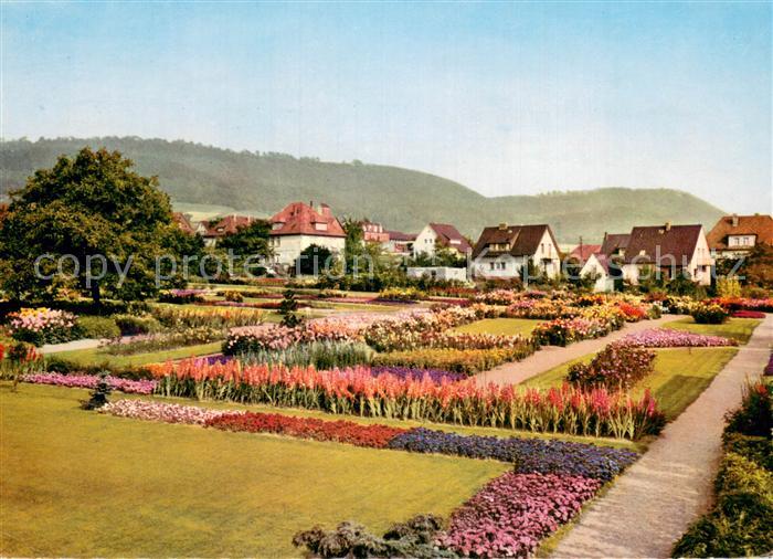 Deckbergen Herbstbluete auf dem Essmannshof