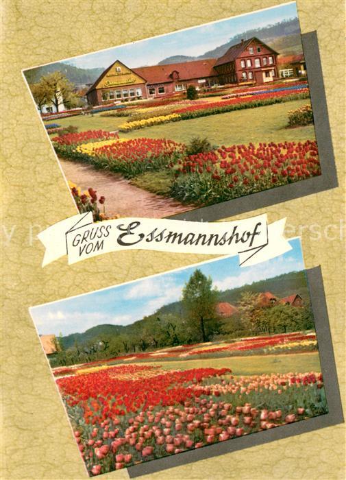 Deckbergen Essmannshof