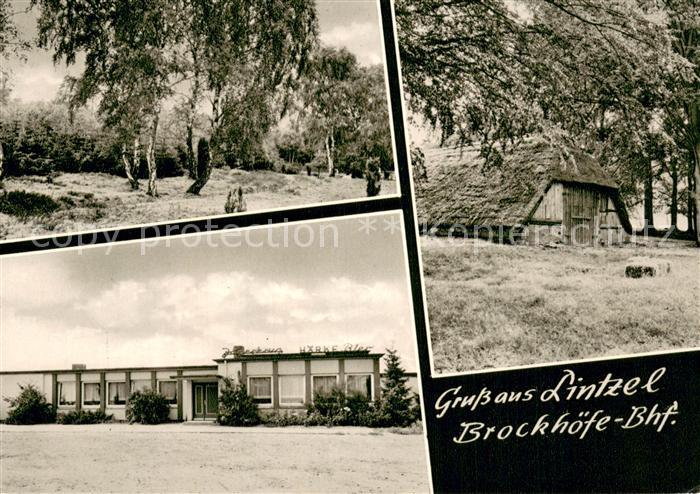 Lintzel Heidelandschaft Brockhoefe Bhf Huette