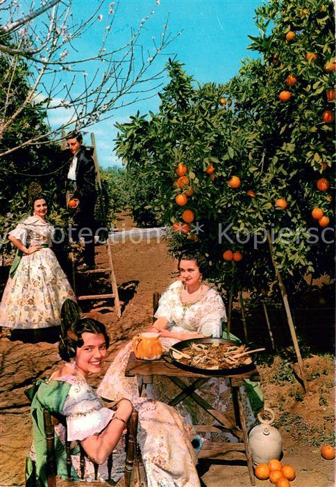 Valencia  Valenciana ES Beim Paella Essen in einem Orangenfeld