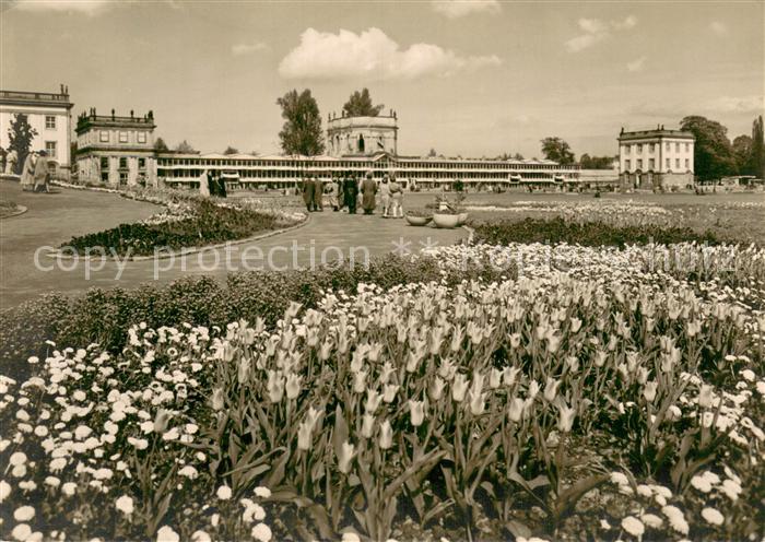 KAssEL  CITY BUGA 1955