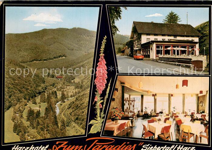 Herzberg Harz Harzhotel Zum Paradies Gastraum Panorama