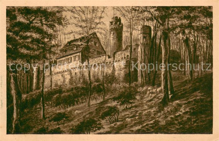 Auerbach Bergstrasse Schloss