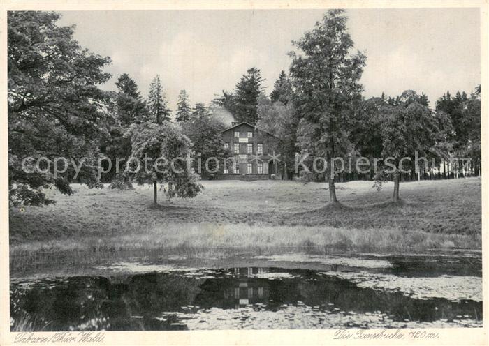 Tabarz Die Tanzbuche