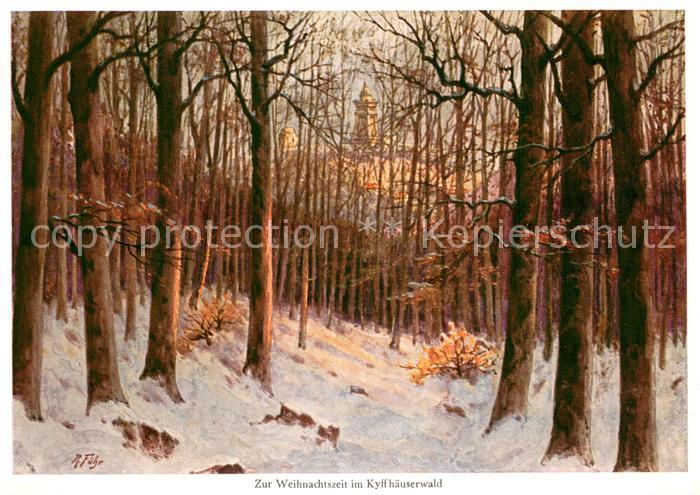 Kyffhaeuser Weihnachtszeit Kyffhaeuserwald Schnee Kuenstlerkarte R. Fuehr