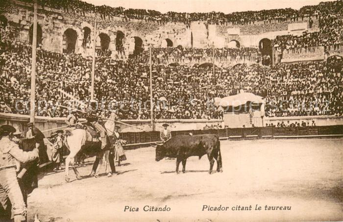 Stierkampf Corrida de Toros Bullfight Pica Citando