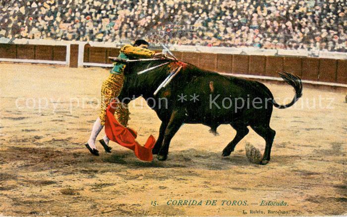 Stierkampf Corrida de Toros Bullfight Corroda de Toras Estocada