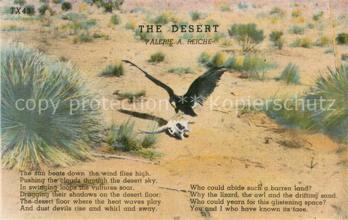 Voegel Birds Oiseaux Uccelli Pajaros-- Geier