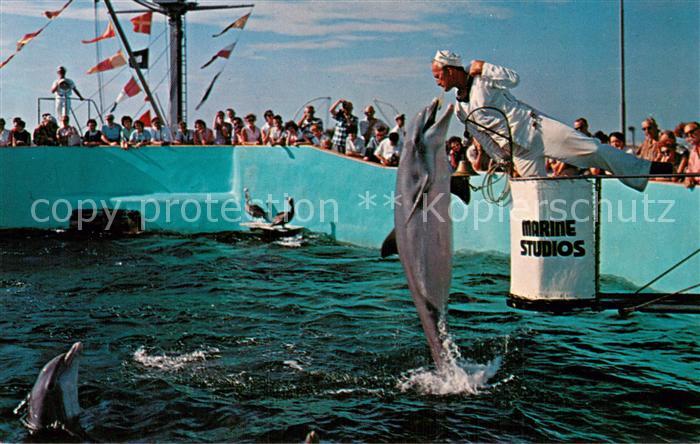 Marineland Delfinen Show