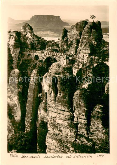 Foto Hahn Nr. Nr.3208 Sächsische Schweiz Basteibrücke