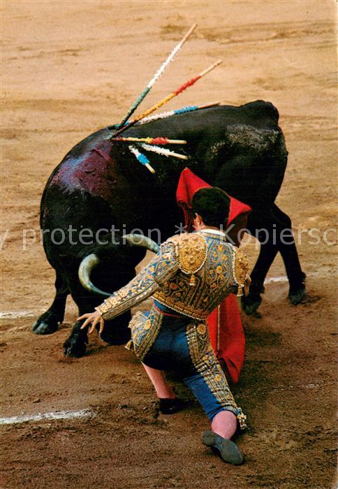 Stierkampf Corrida de Toros Bullfight Corrida de Toros