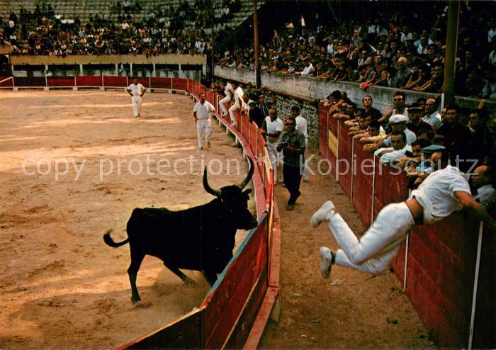 Stierkampf Corrida de Toros Bullfight La Course Libre de Taureaux