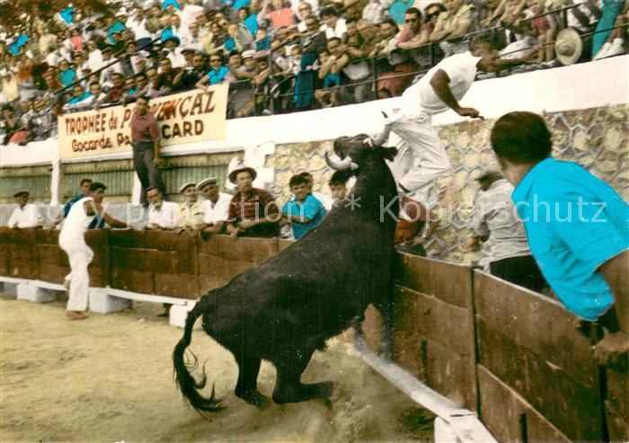 Stierkampf Corrida de Toros Bullfight Les Belles Images de Provence
