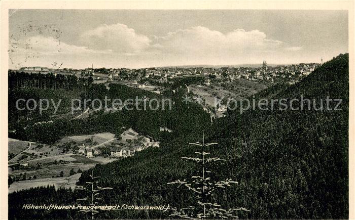 FREUDENSTADT BW Panorama