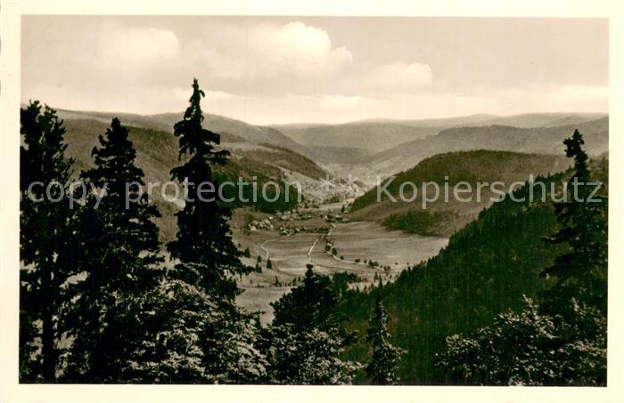 Menzenschwand Blick vom Feldberg