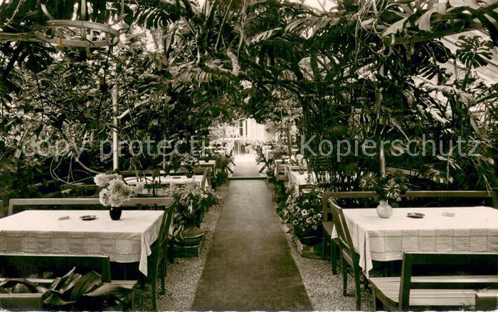 Lorch Wuerttemberg Waldkaffee Muckensee Wintergarten