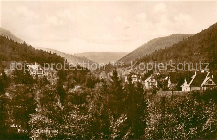 Tabarz Blick in den Lauchagrund