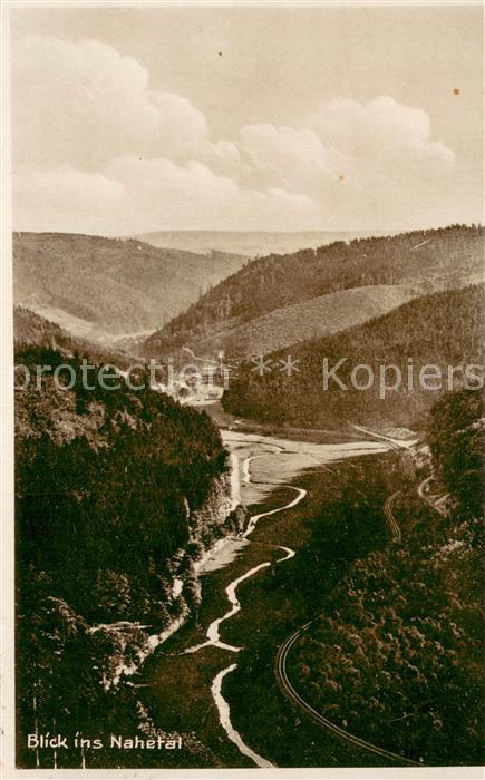 Frauenwald Thueringen Blick ins Nahetal