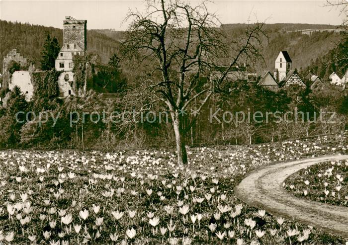 Zavelstein Burgruine