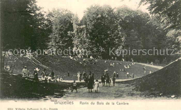 Bruxelles Bruessel Ravin du Bois de la Cambre