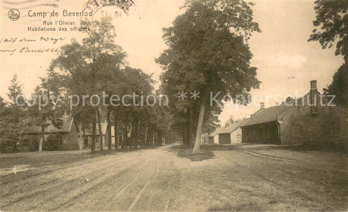 Camp de Beverloo Rue l’Olivier Habitations des officiers