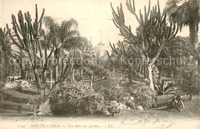 Monte-Carlo Monaco Vue dans les Jardins
