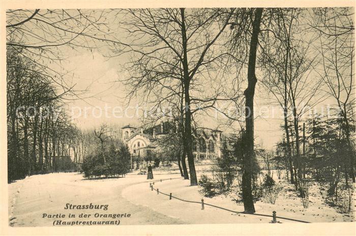 Strassburg Elsass Partie in der Orangerie des Hauptrestaurants