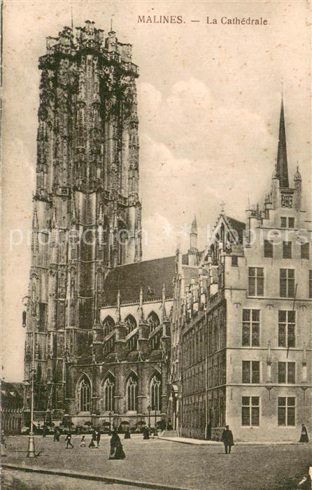 Malines Mechelen Flandre La Cathedrale