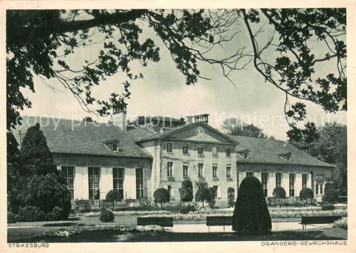 Strassburg Elsass Orangerie Gewaechshaus