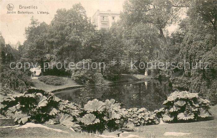 Bruxelles Bruessel Jardin Botanique - L etang