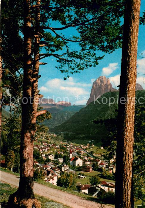 Val Gardena Panorama col Gruppo del Sassolungo