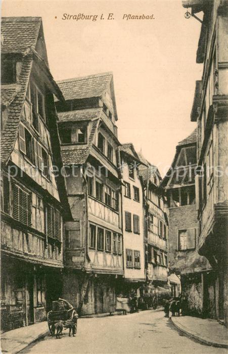 Strassburg Elsass Pflanzbad