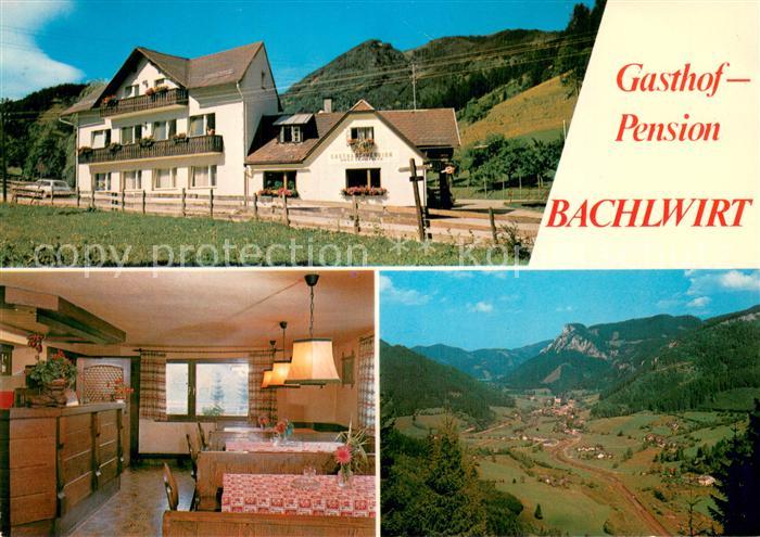 Schwarzau Gebirge Gasthof Pension Bachlwirt Gastraum Panorama