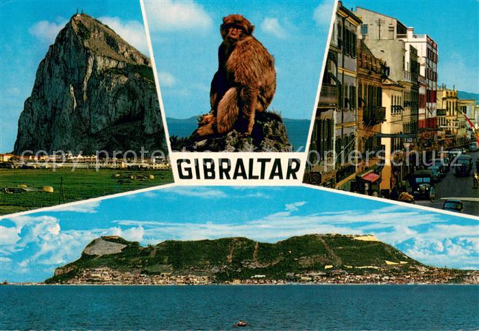 Gibraltar Felsen Affe Ortsmotiv Panorama