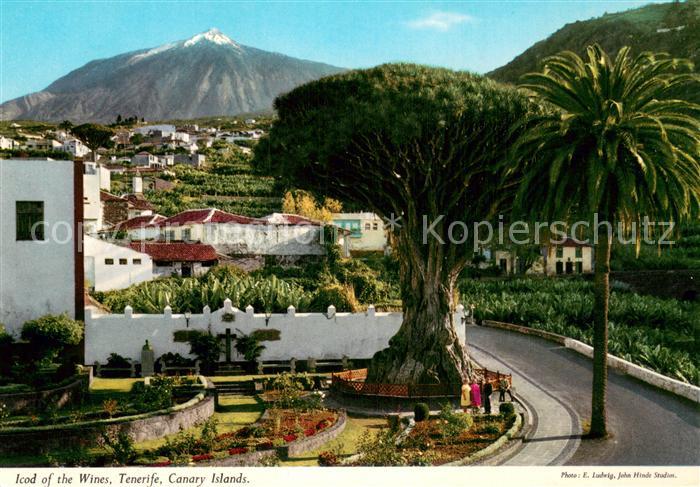 Tenerife Islas Canarias Spanien ES Icod of the Wines