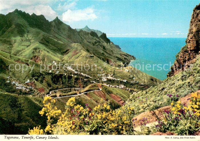 Taganana Panorama