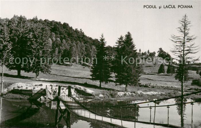 Poiana Brasov RO Schwebebruecke