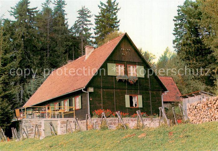 Maribor Marburg Drau Koca Pahorie