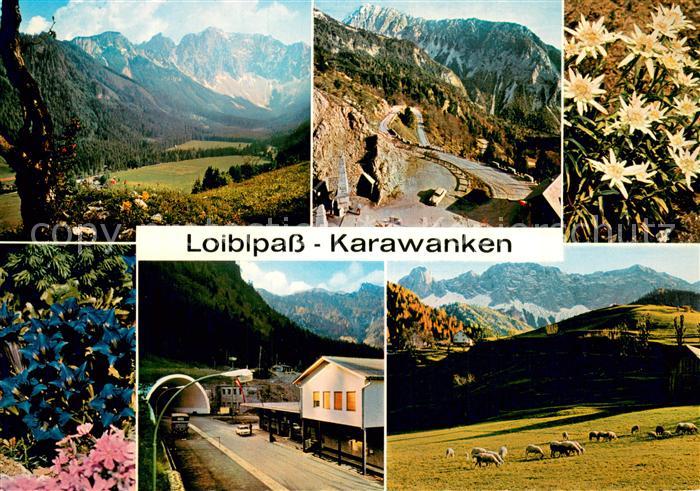 Bodental Kaernten AT mit Vertatscha Loibltunnel Loiblpass Zell Pferre mit Koschu