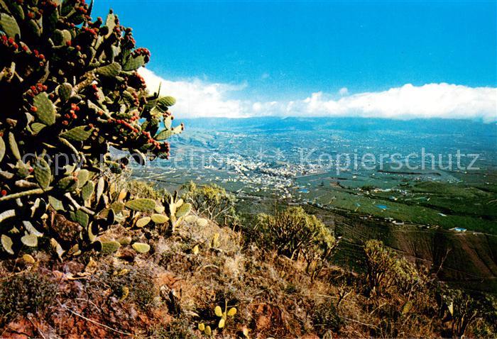 La Palma  Canarias ES Vista de Los Llanos de Aridane desde El Times